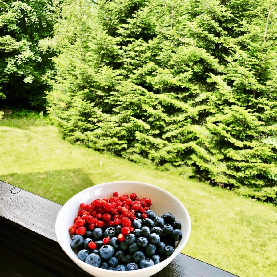 Mountain Cottage Lubomierz Lubomierz  エクステリア 写真
