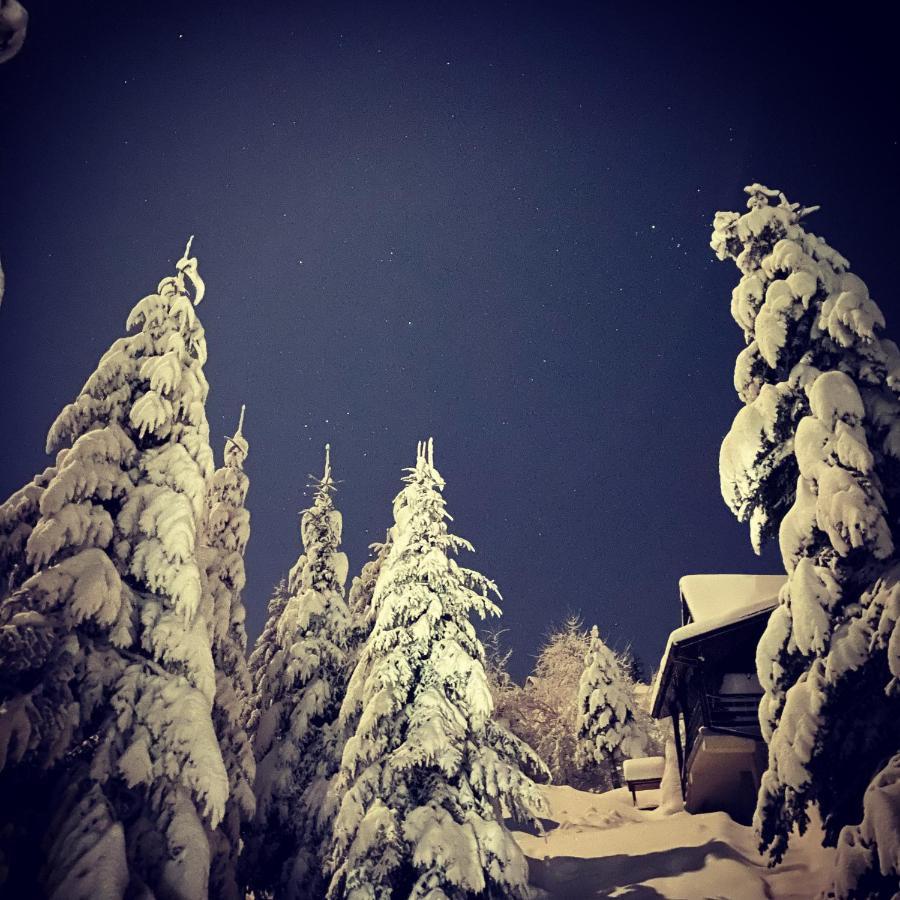 Mountain Cottage Lubomierz Lubomierz  エクステリア 写真