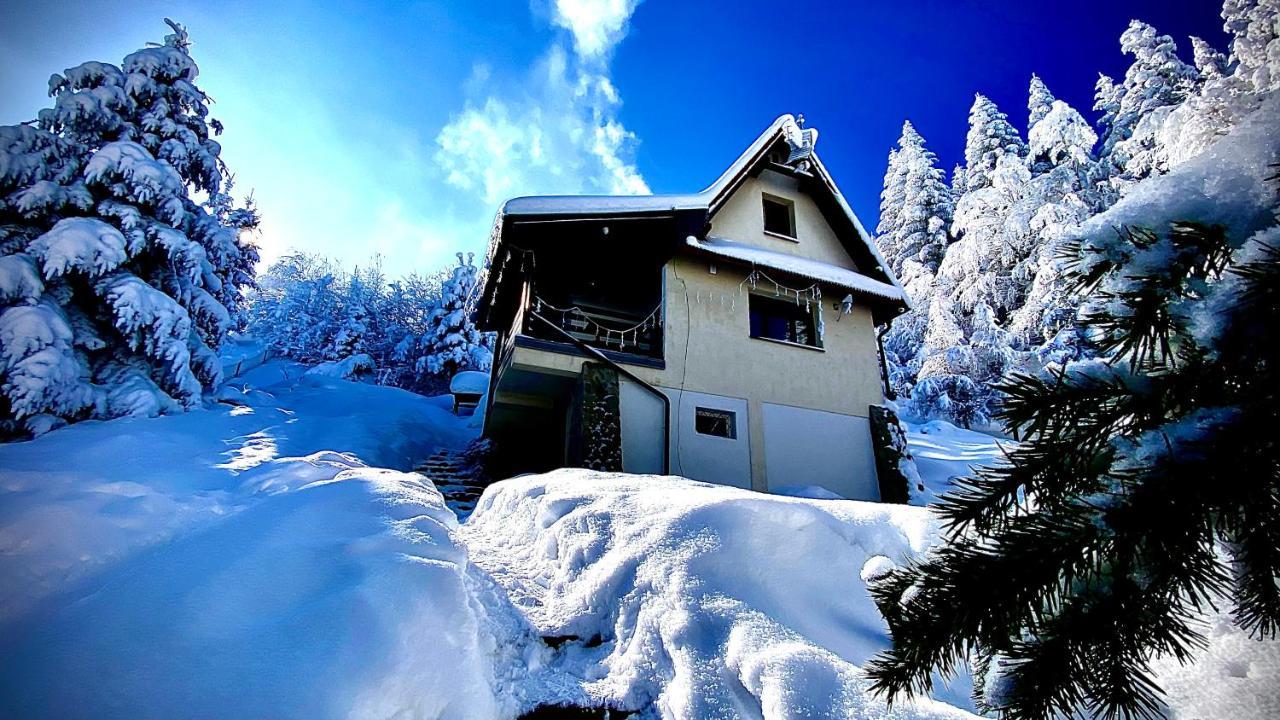 Mountain Cottage Lubomierz Lubomierz  エクステリア 写真