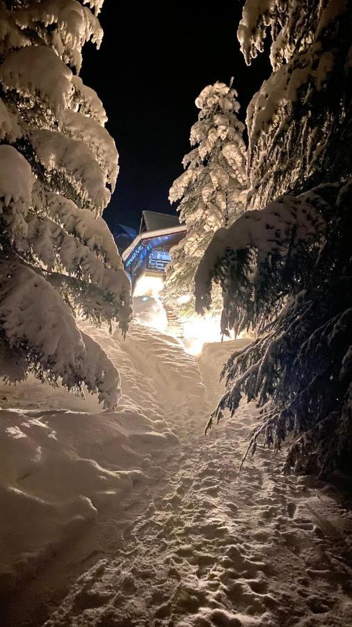 Mountain Cottage Lubomierz Lubomierz  エクステリア 写真